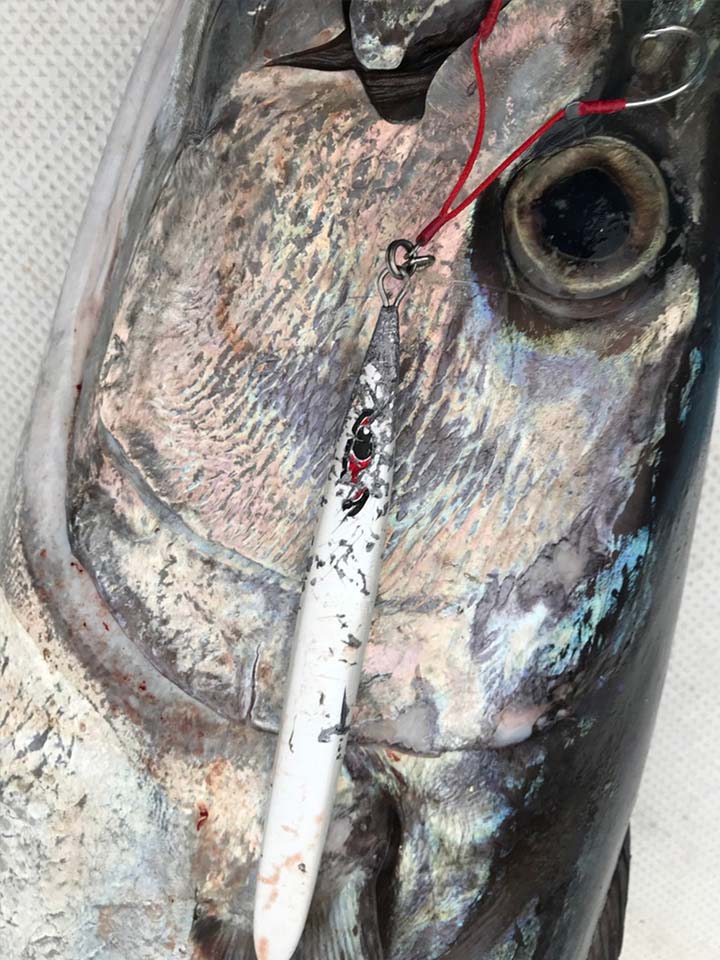 シーフロアコントロール Sレジェンド 300g グロー【メール便可】通販