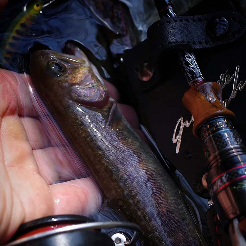 VARIVAS　ハイパーイワナトゥイッチャー　TRD-411FS-WRX 限定】バリバス ハイパーイワナトゥイッチャー TRD-411FS-WRX