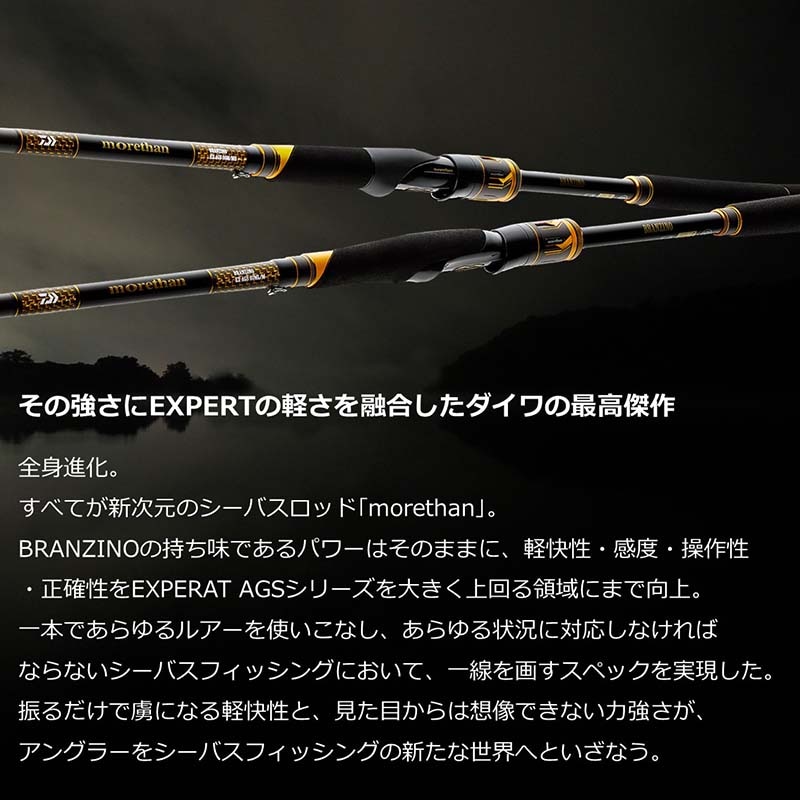 大型品】ダイワ モアザン ブランジーノ EX AGS 94LML通販｜釣具通販 い