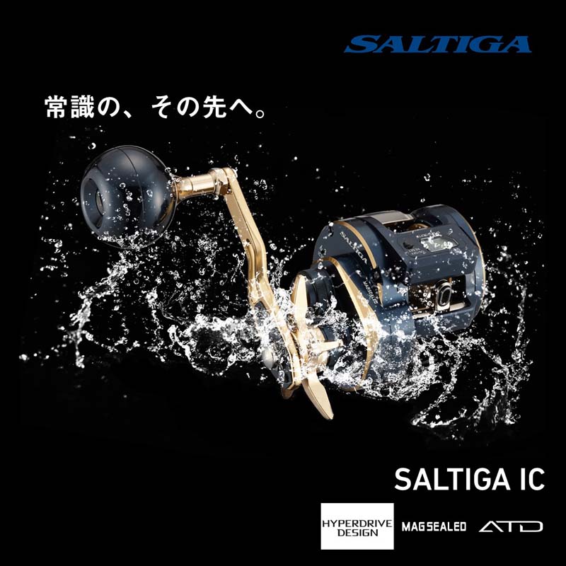 21ソルティガIC 300H-SJ DAIWA（釣り） ダイワ 21ソルティガ IC 300H-SJ カウンター付