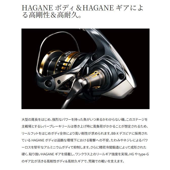 シマノ 23BB-Xデスピナ C3000DXG通販｜釣具通販 いのまた釣具店