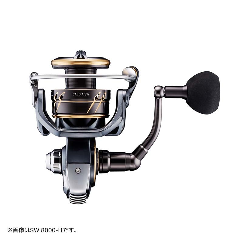 ダイワ 22カルディアSW 14000-H通販｜釣具通販 いのまた釣具店