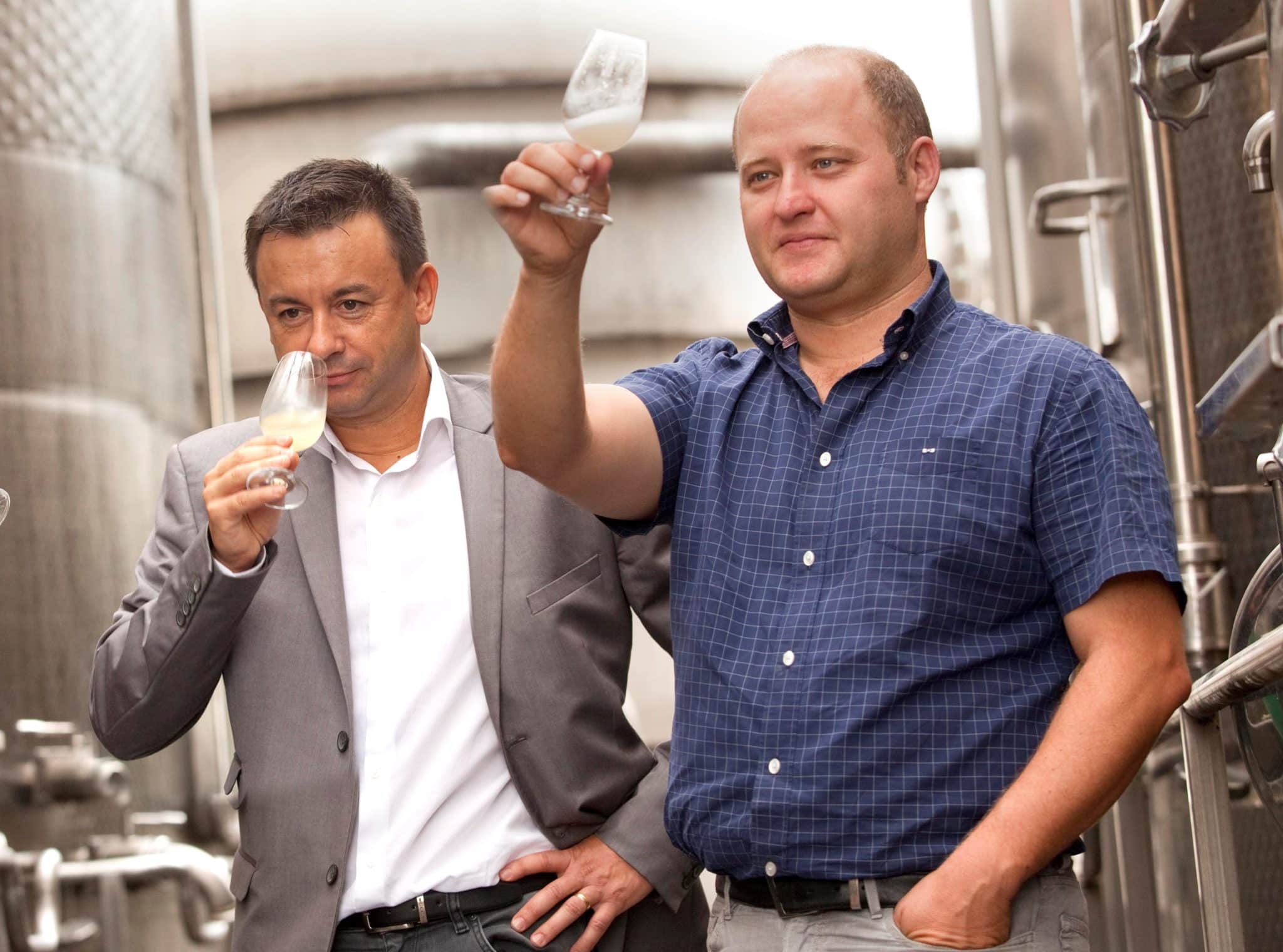 キング ラビット カベルネソーヴィニヨン 2021 | fisワイン倶楽部