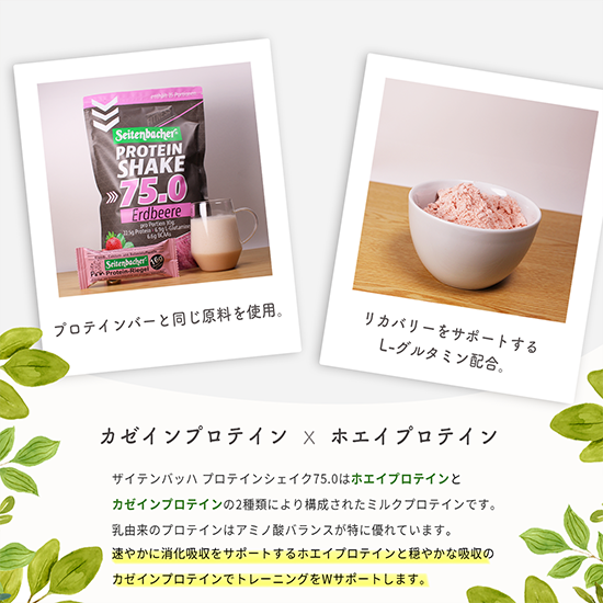 �ڤ����ʥ��åȡۥ����ƥ�Хå� �ץ��ƥ��󥷥����� ���ȥ��٥꡼̣ & �Х˥�̣ ���å�