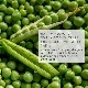 ƥХå ӡץƥˢ̣ڤ(2025ǯ0530)ޤ