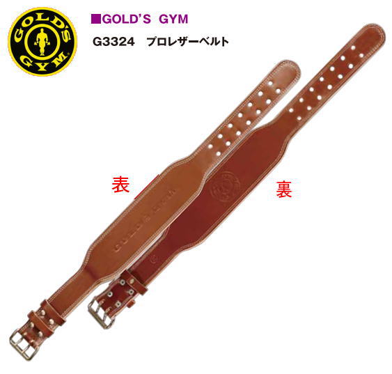 GOLDS GYM ɥ ץ쥶٥ G3324 ȥȥ졼˥󥰥٥