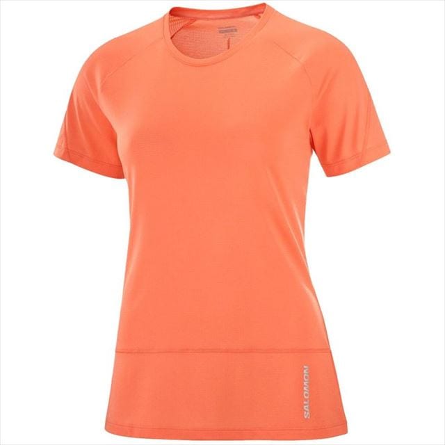 サロモン クロスラン ノースリーブ Tシャツ セット ランニング トレラン サロモン クロスラン ノースリーブ Tシャツ セット ランニング