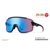 SMITH ���ߥ� ���ݡ��� ���˥� ���󥰥饹 Wildcat Asia Fit �ե졼�� Matte Black ��� CP Low Light Rose Blue Mirror �磻��ɥ���å� �ޥåȥ֥�å��ե졼�� �������ե��å� ���ܿ͸����������� 4�ѥ�������ѥΡ��� �ȥ쥤����˥� �ȥ��� �ޥ饽��