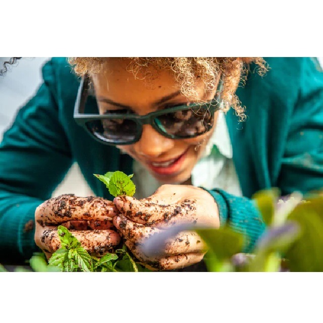 goodr ������ ���˥� ���󥰥饹��BFGs�� Mint Julep Electroshocks BFG-GR-GR1