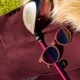 goodr  ˥ 󥰥饹CG Im WEARING BURGUNDY CG-MN-CP1-FE ܥȥ и UV400 ɳ ߤ եå ˤ  ȥ쥤˥ ȥ ޥ饽