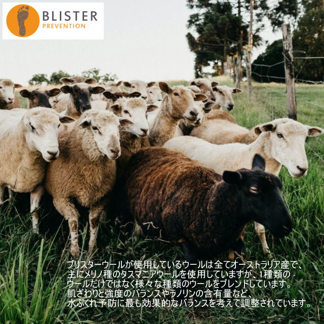 BLISTER WOOL �֥ꥹ���������� Prevention Pack Regular 20g �����ݸ� �������к� ����ऱͽ�� ��֤���ͽ�� �ޤ� �л� �ϥ����� ����ȥ�ޥ饽�� �ȥ�å��� �ȥ쥤����˥� �ȥ���