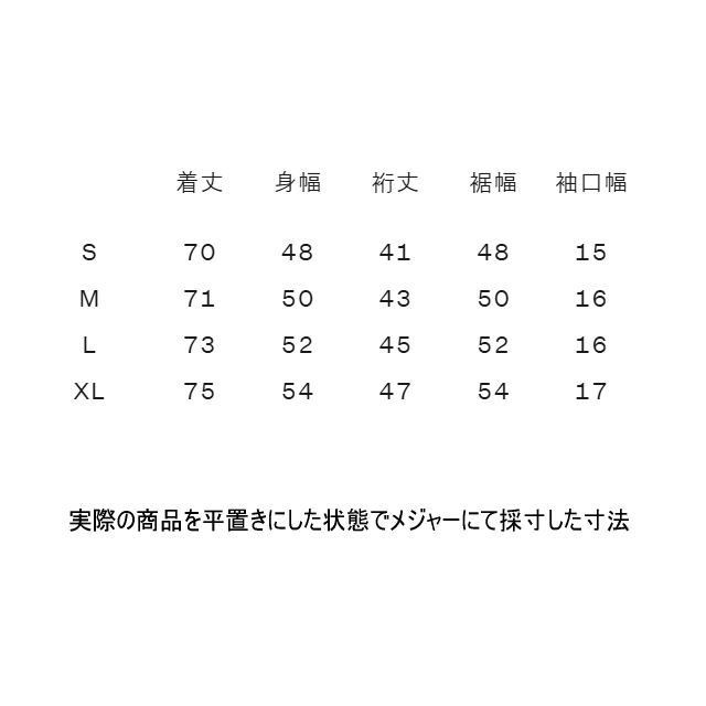 THE NORTH FACE ���Ρ����ե����� ȾµT����� S/S Dry Dot Light Crew NT12588 ��� �֥�å� ���硼�ȥ��꡼�� �ɥ饤�ɥåȥ饤�ȥ��롼 ���åȥ��� �ȥ��� �ȥ쥤����˥� �ޥ饽�� ���˥� ���祮�� �۴�®�� �����ɽ�