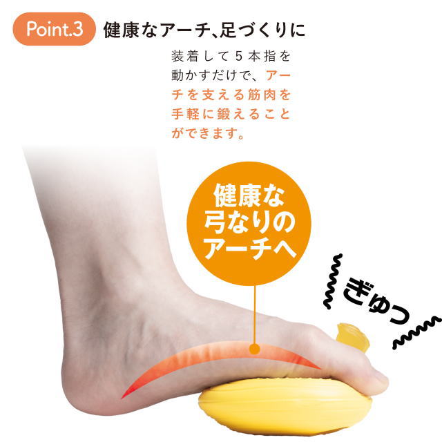 AKAISHI ���� �������� ­�إȥ졼�˥󥰥��å� 5�ܻإȥ졼�ʡ�PRO �������� ­�ضڥȥ� ������å� �����ե쥤�� ��Ψ���å� ­�ض��� �Ļ��ϸ��� �������ݡ��� ���˥� �ޥ饽�� �ȥ쥤����˥� �ȥ��� ���祮�� ���������� �ȥ�å��� �л�