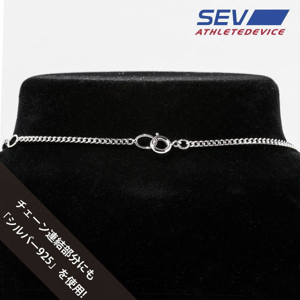 ���� SEV ���ݡ��ĥͥå��쥹 SEV �᥿��졼��Si SA00020