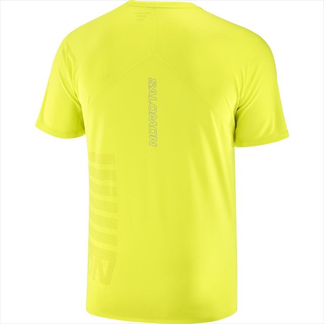 SALOMON  ȾµT SENSE AERO SS TEE GFX M LC2188800  Sulphur Spring/Citronelle 󥹥 S/S ƥ եå ȥ쥤˥ ˥ ȥ ޥ饽 祮 Ķ ɽ ̵ Ŭ