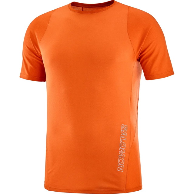 SALOMON ������� ȾµT����� SENSE AERO SS TEE M BURNT OCHRE LC2138300 ��� ���󥹥����� SS �ƥ��� �ȥ쥤����˥� ���˥� �����ȥɥ� �ȥ��� �ޥ饽�� ���硼�ȥ��꡼�� �۴�®�� 
