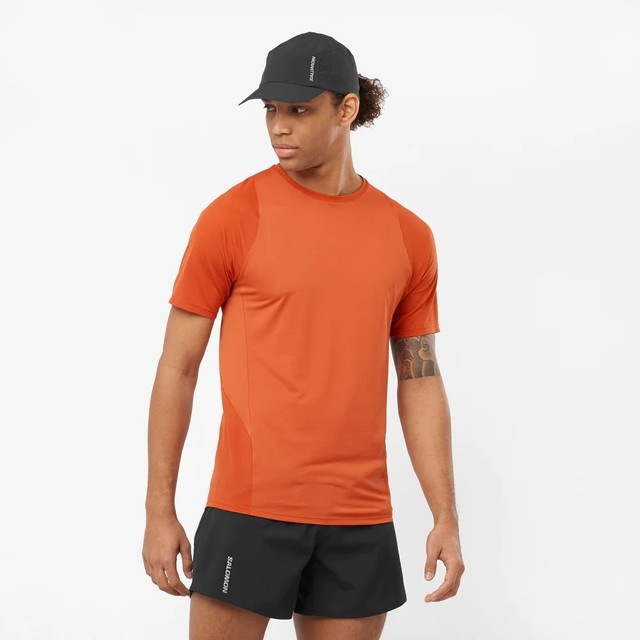 SALOMON ������� ȾµT����� SENSE AERO SS TEE M BURNT OCHRE LC2138300 ��� ���󥹥����� SS �ƥ��� �ȥ쥤����˥� ���˥� �����ȥɥ� �ȥ��� �ޥ饽�� ���硼�ȥ��꡼�� �۴�®�� 