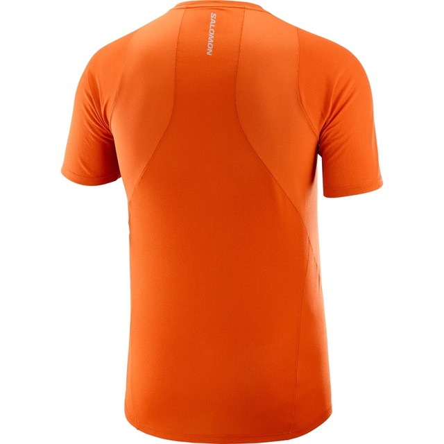 SALOMON ������� ȾµT����� SENSE AERO SS TEE M BURNT OCHRE LC2138300 ��� ���󥹥����� SS �ƥ��� �ȥ쥤����˥� ���˥� �����ȥɥ� �ȥ��� �ޥ饽�� ���硼�ȥ��꡼�� �۴�®�� 