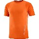 SALOMON ������� ȾµT����� SENSE AERO SS TEE M BURNT OCHRE LC2138300 ��� ���󥹥����� SS �ƥ��� �ȥ쥤����˥� ���˥� �����ȥɥ� �ȥ��� �ޥ饽�� ���硼�ȥ��꡼�� �۴�®�� 