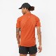 SALOMON ������� ȾµT����� SENSE AERO SS TEE M BURNT OCHRE LC2138300 ��� ���󥹥����� SS �ƥ��� �ȥ쥤����˥� ���˥� �����ȥɥ� �ȥ��� �ޥ饽�� ���硼�ȥ��꡼�� �۴�®�� 
