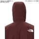 THE NORTH FACE ���Ρ����ե����� ������ɥ֥졼�������㥱�å� Infinity Trail Hoodie NP72571 ��� �ƥ��󥰥졼 ����ե��˥ƥ� �ȥ쥤��ա��ǥ��� �ȥ��� �ȥ쥤����˥� �ޥ饽�� ���˥� ���� ���� ���� �̵� �ա���