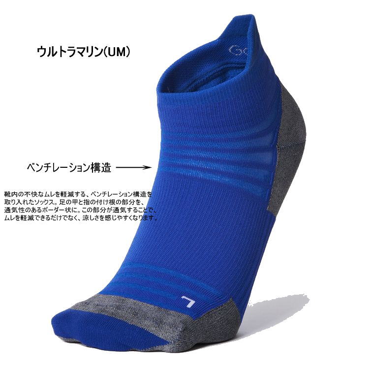 ������ɥ����� Goldwin ���˥󥰥��å��� Ventilating Light Short Socks GC23175 �٥���졼�ƥ��� �饤�� ���硼�� ���å��� C3fit ���� ����֤� ���󥯥�� �ȥ쥤����˥� �ޥ饽�� ���祮�� �����ȥɥ� ���ڸ�