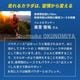 Palatinose �ѥ���Ρ��� PUREPALA �ԥ奢�ѥ饹�ƥ��å� 20g x 10������ ʴ�� �ѥ����� ���׷ϥ��ݡ������� ����ǥ��󥹥��ݡ��� ��³�����ͥ륮����� ��ư�� �ȹԿ� ���ץ���� ���˥� �ȥ��� �ȥ쥤����˥� ��ž�� �Х��� �л� �ȥ�å���