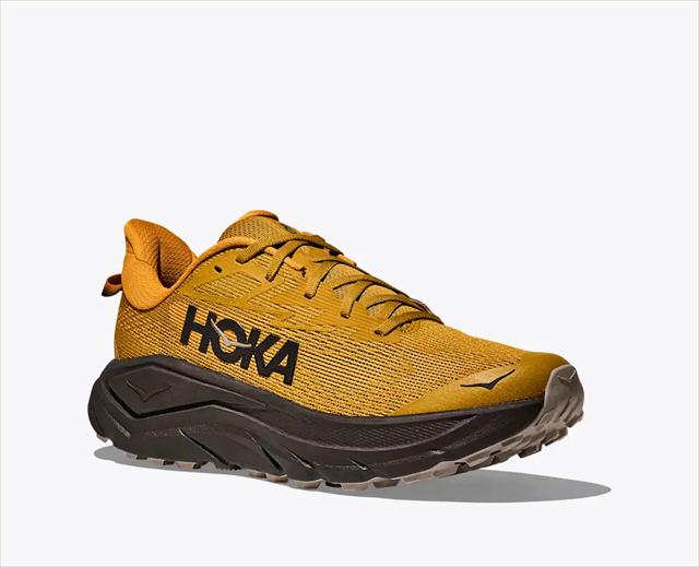 HOKA ONE ONE �ۥ� ���ͥ��� M CHALLENGER 8 1168716 MUSTARD SEED/BLACK ��� �����󥸥㡼8 ��D ���� �ȥ쥤����˥󥰥��塼�� �ȥ��� �����ɷ��� �ϥ����� �ȥ�å��� �л� ���ˡ����� �� ���å���� ���������� ���� �ڤ� ��������