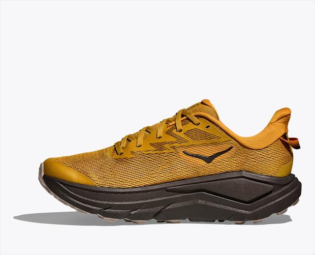 HOKA ONE ONE �ۥ� ���ͥ��� M CHALLENGER 8 1168716 MUSTARD SEED/BLACK ��� �����󥸥㡼8 ��D ���� �ȥ쥤����˥󥰥��塼�� �ȥ��� �����ɷ��� �ϥ����� �ȥ�å��� �л� ���ˡ����� �� ���å���� ���������� ���� �ڤ� ��������