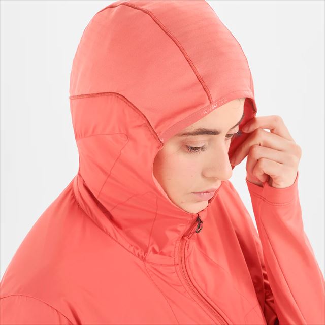 SALOMON ������� �ȥ쥤����˥� �ե꡼�����㥱�å� OUTLINE ALL SEASON HYBRID Jacket W FADED ROSE LC2124100