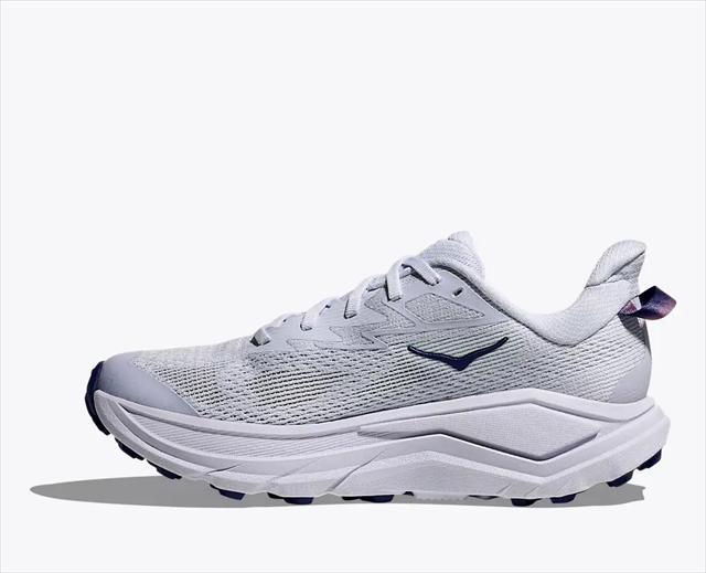 HOKA ONE ONE �ۥ� ���ͥ��� W CHALLENGER 8 1168717 AMBIENT BLUE/BLUEBERRY ��ǥ����� ������� �����󥸥㡼8 ��B ���� �ȥ쥤����˥󥰥��塼�� �ȥ��� �����ɷ��� �ϥ����� �ȥ�å��� �л� ���ˡ����� �� ���å���� ���������� ���� �ڤ� ��������