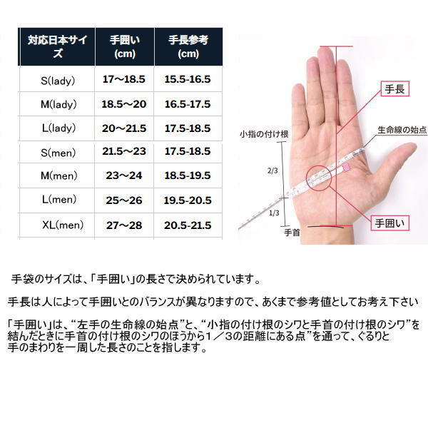 SWANY ����ˡ� �������� SPG-101 Polygiene light Glove �֥�å� �ݥꥸ��饤�ȥ������� ���� ���ȥ�å� �����ɽ� �ɴ� �ޥ���������� ���ꥳ�󥰥�å� ���ޥե��б� ���˥� �ȥ쥤����˥� �ȥ��� �����ȥɥ� �л� �ޥ饽�� ���祮��