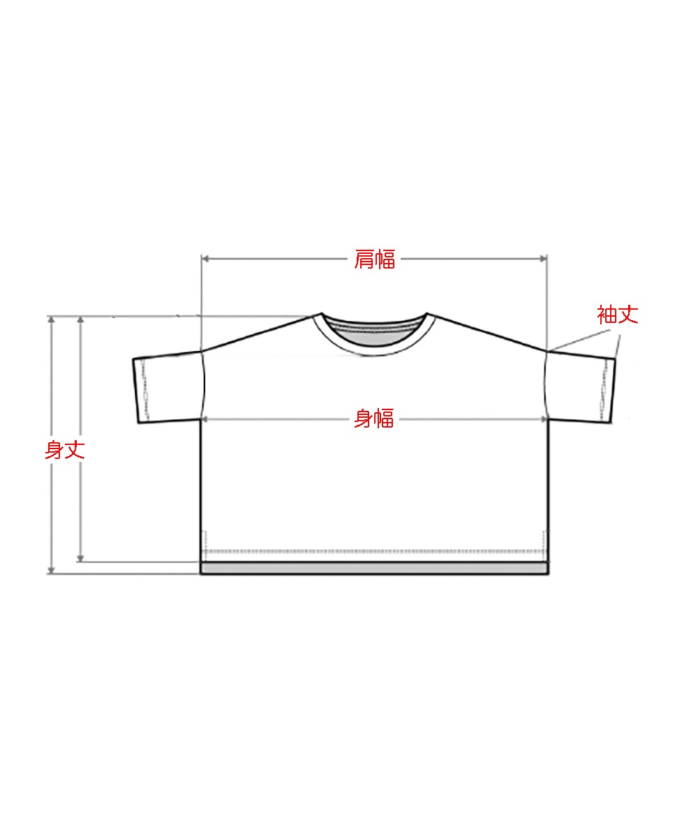 モイスト ボックス半袖Tシャツ ボーダー【レディース】