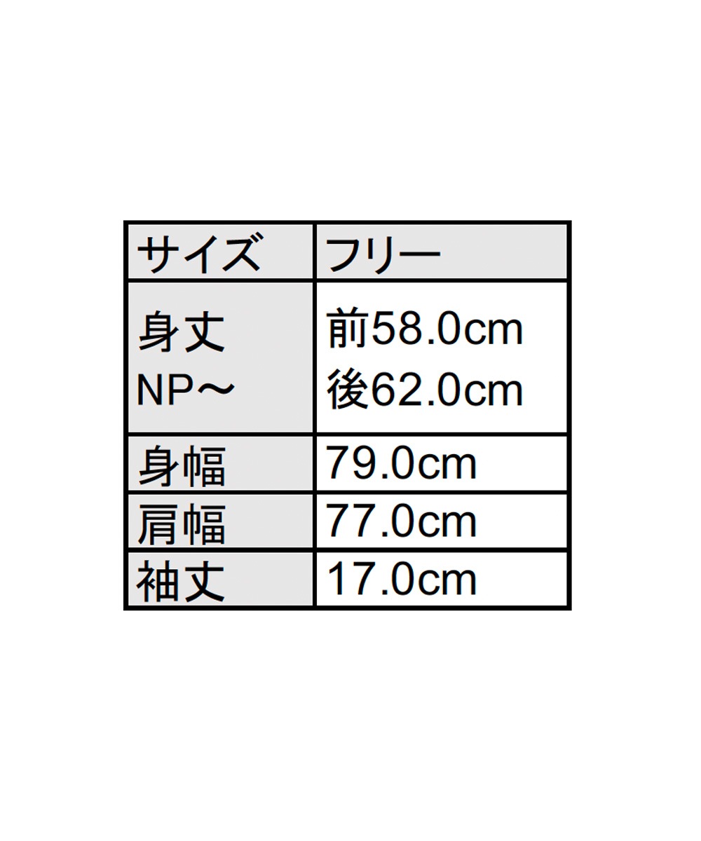 モイスト ボックス半袖Tシャツ ボーダー【レディース】