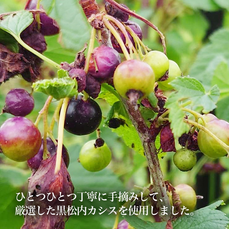 ⥫ꥭ塼롡ҥեݥ졼