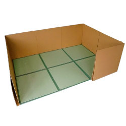 ������Ѵֻ��ڤꡡ�֤�������Light�ס�3���ѡ����ޥåȡ�6���ȡ�