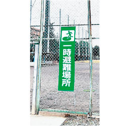 �ɺ��Ѥ����롡�ֵ߸���