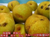 秋麗梨 訳あり 約4.5キロ(約8〜24玉)希少品! 熊本産 秋麗 なし ナシ フルーツ