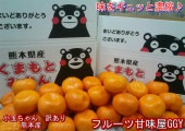小玉ちゃん 訳あり 約5kg 熊本みかん フルーツ グルメ みかん 80サイズ