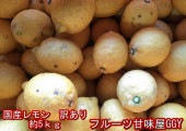 国産レモン 訳あり 約5kg 熊本産 リスボン マイヤー グランドレモン 80サイズ