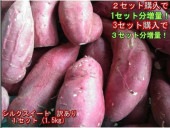 【セット】シルクスイート 蔵出し 訳あり 1セット(1.5kg)2セット購入で1セットおまけ!3セット購入で3セットおまけ!さつまいも 蜜芋 熊本産 60サイズ