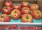 こみつ 青森産 蜜入りリンゴ 1箱 約2kg 6〜13玉 JA津軽みらい石川 お歳暮 ギフト 80サイズ