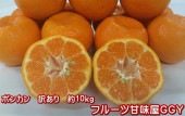 ポンカン 訳あり 箱込10キロ(9kg+保証分500g)熊本産