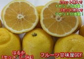 【セット】はるか 訳あり 1セット1.5kg 熊本産 2セット購入で1セットおまけ!3セット購入で3セットおまけ! 60サイズ みかん ハルカ サラダみかん