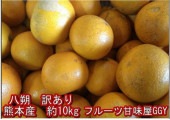 八朔 訳あり 箱込10キロ(9kg+保証分500g)熊本産 みかん ミカン 蜜柑