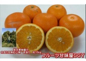 木成り完熟 紅八朔 訳あり 約10kg(9kg+保証分500g) 味自慢!!坂本果樹園さんの木成り完熟 紅八朔 熊本産 みかん ミカン 蜜柑 八朔 紅はっさく