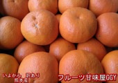 いよかん 訳あり 熊本産 1箱 箱込10キロ(9kg+保証分500g) 伊予柑 イヨカン みかん ミカン 蜜柑