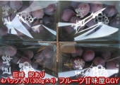 朝摘み巨峰 訳あり 4パック入り(約300g×4)熊本産 クール便発送 巨峰・ブドウ 80サイズ