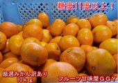 厳選みかん 訳あり 箱込10kg(9kg+保証分500g) サイズ不選別 熊本産 フルーツ グルメ