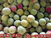 南高梅 訳あり サイズ3L〜M 不選別 指定不可 箱込10キロ(9kg+保証分500g) 熊本・福岡産